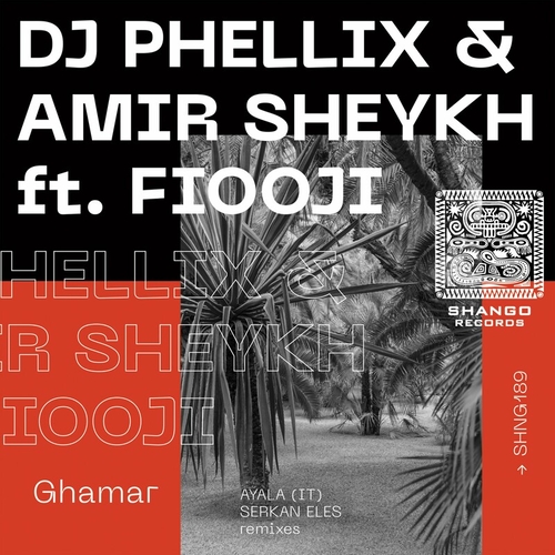 DJ Phellix & Amir Sheykh - Ghamar [SHNG189]